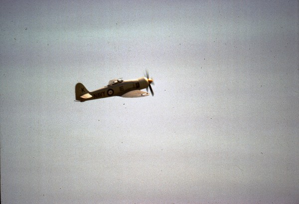 Photo of the day